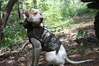 Bay and Strike Dog Vests