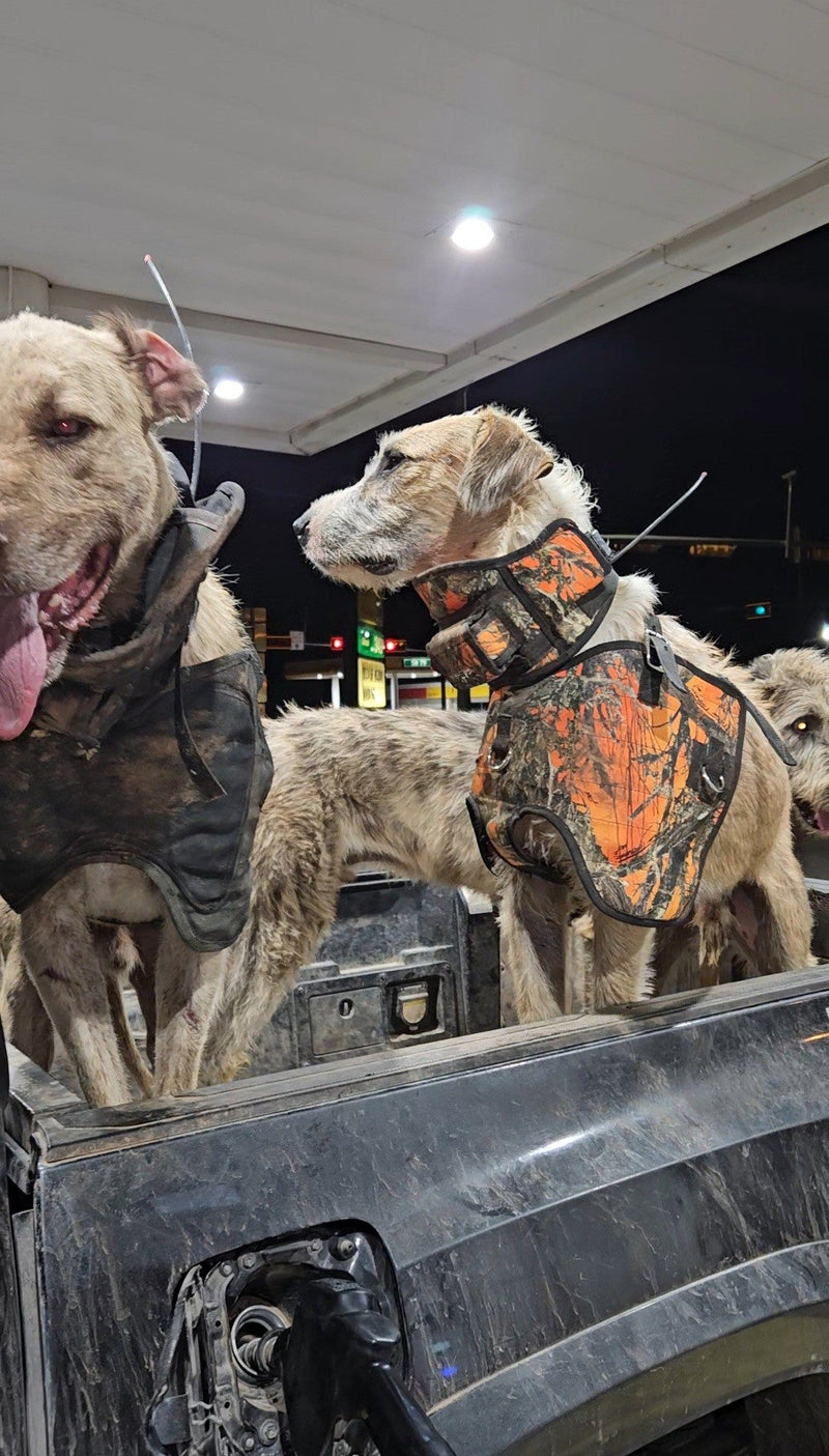 Load image into Gallery viewer, Boar Buster PRO Vest (Plate) – Attached Collar, Extreme Mobility Hog Dog Vest - Southern Cross Cut Gear