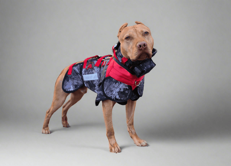 Load image into Gallery viewer, Elite Catch Vest PRO - Attached Collar Extreme Protection - Southern Cross Cut Gear