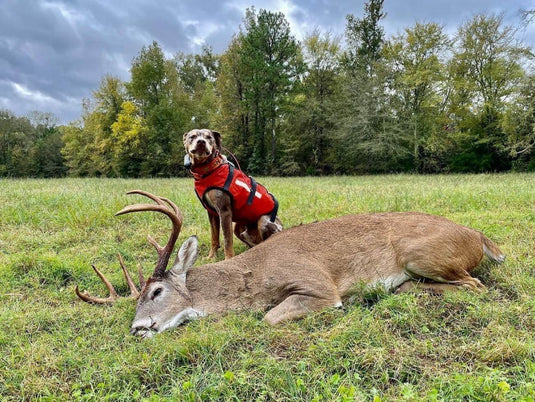 GA Deer Season Ends
