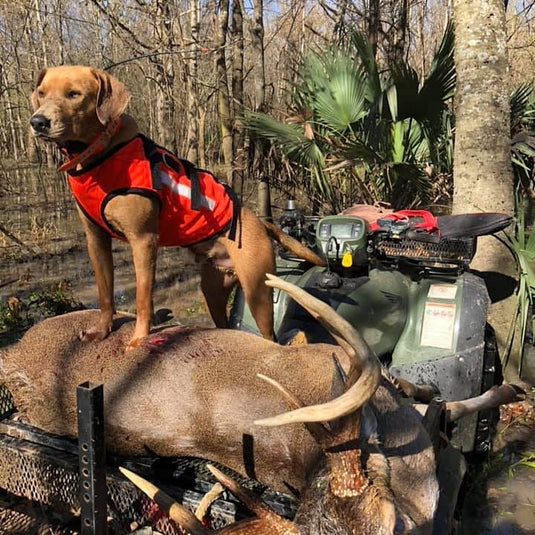 Armored Dog Tracking Dawg Vest - Southern Cross Cut Gear