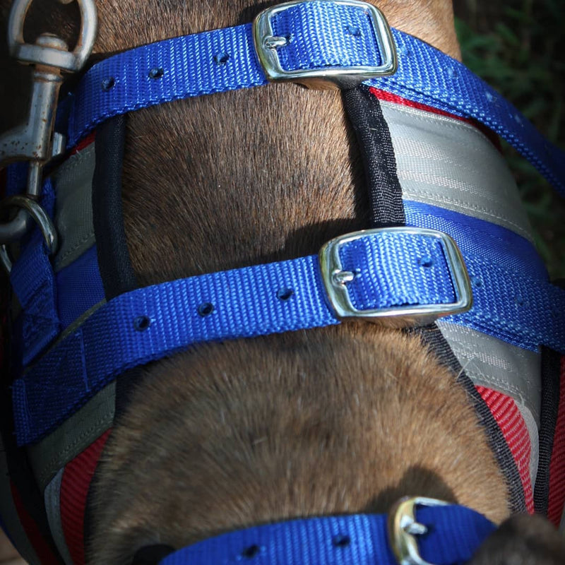 Load image into Gallery viewer, Aussie Style Pro Plate- Attached Collar Seatbelt - Southern Cross Cut Gear
