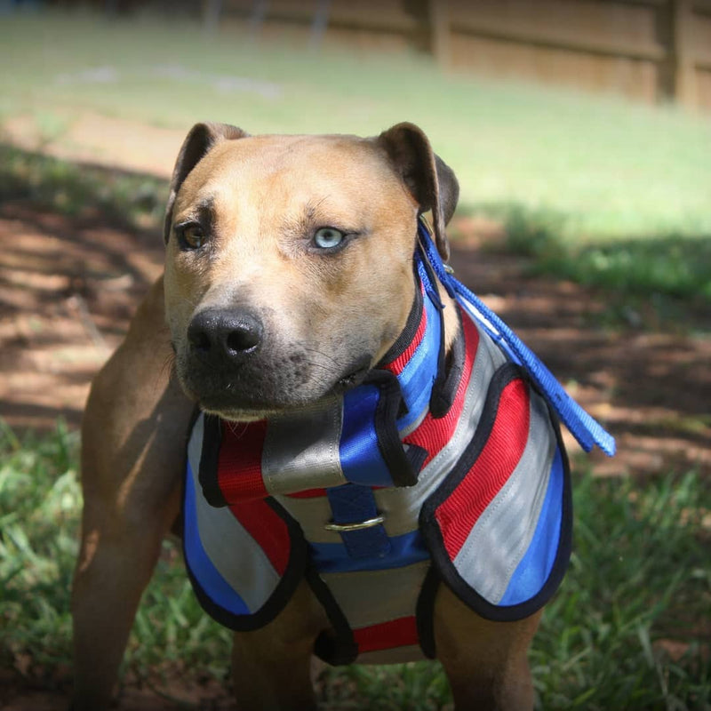 Load image into Gallery viewer, Aussie Style Pro Plate- Attached Collar Seatbelt - Southern Cross Cut Gear
