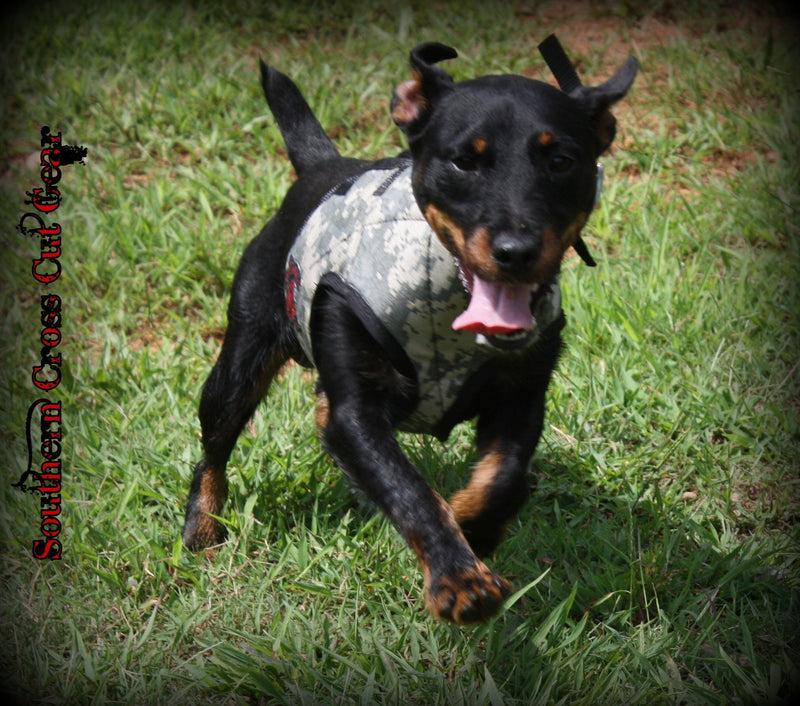 Load image into Gallery viewer, Custom SC Terrier Vest - Southern Cross Cut Gear