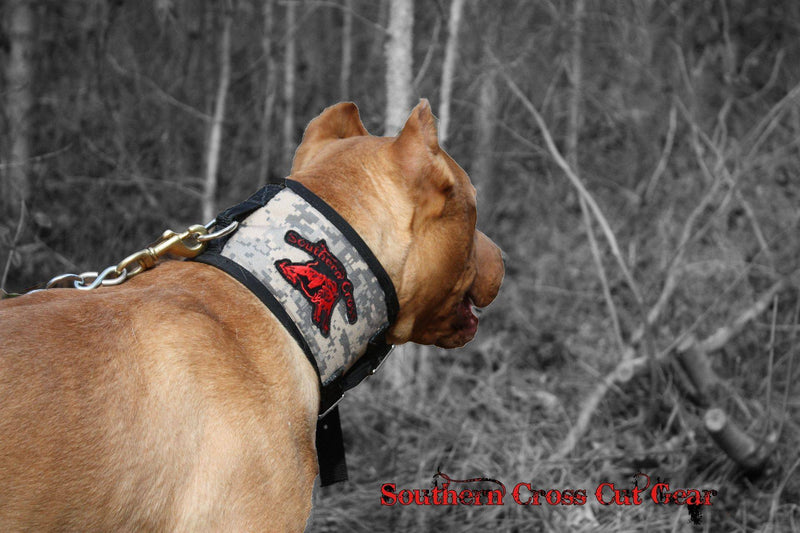 Load image into Gallery viewer, Custom Southern Cross Cut Collar - Southern Cross Cut Gear