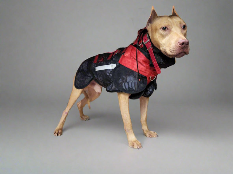 Load image into Gallery viewer, Elite Catch Vest PRO- Attached Collar Extreme Protection - Southern Cross Cut Gear