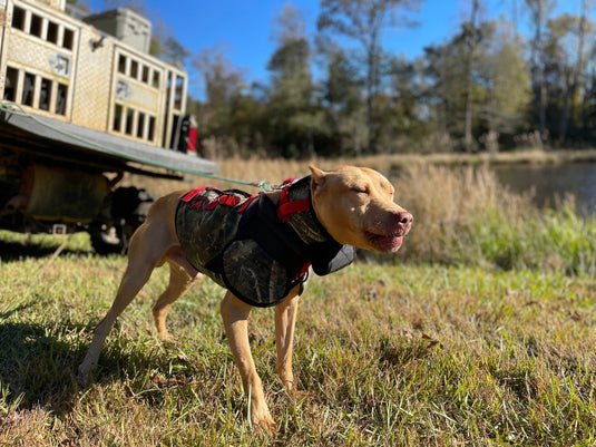 Spec-Ops Catch PRO Vest- Attached Collar High Level Protection - Southern Cross Cut Gear