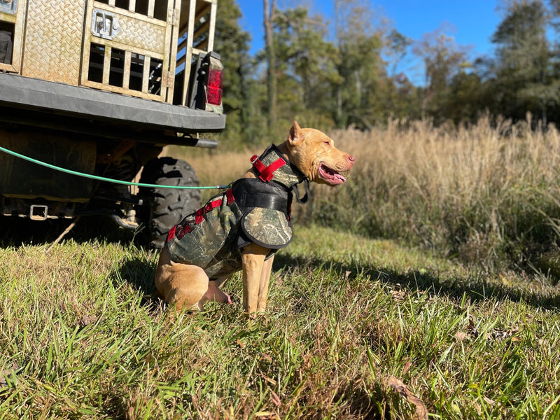 Load image into Gallery viewer, Spec-Ops Catch PRO Vest- Attached Collar High Level Protection - Southern Cross Cut Gear
