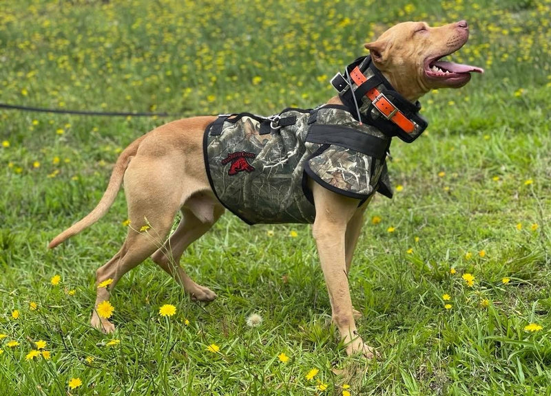 Load image into Gallery viewer, Ultra Flex Catch PRO Vest- Attached Collar/Leg Guards Lightweight - Southern Cross Cut Gear