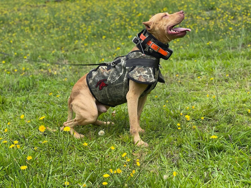 Load image into Gallery viewer, Ultra Flex Catch PRO Vest- Attached Collar/Leg Guards Lightweight - Southern Cross Cut Gear
