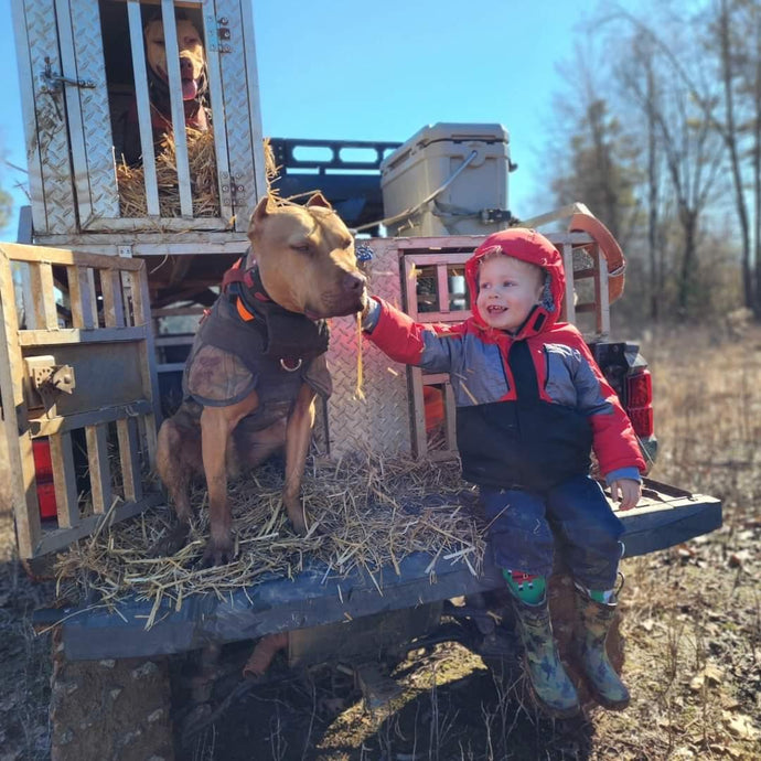 🐾 The American Pit Bull Terrier: The Heart of the Catch Dog Tradition