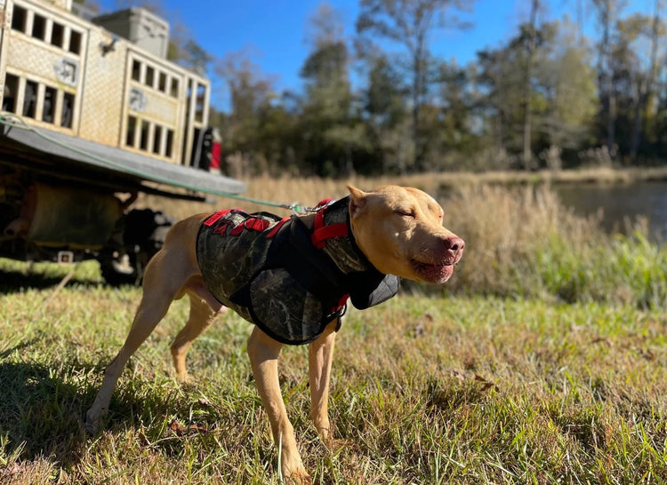 Catch Dog Vests - Southern Cross Cut Gear