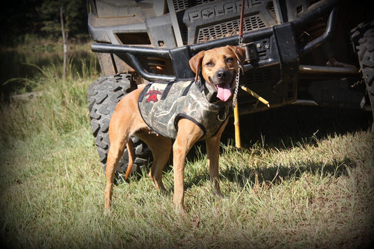 Ultra Flex Cut Gear (Lightweight/Attached Collar) - Southern Cross Cut Gear