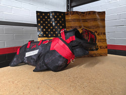 Discount Typhoon Elite Catch Vest PRO- Box 302