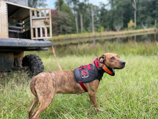 Hunting Vest Hog Catch Dogs Cut Vest Hog Dog Vest Kevlar Hog Dog