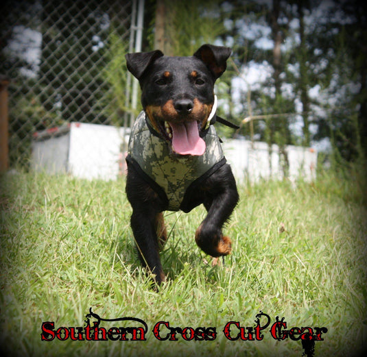 Custom SC Terrier Vest - Southern Cross Cut Gear