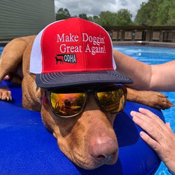 Make Doggin Great Again Hats - Southern Cross Cut Gear