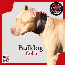 Two Inch Bulldog Collar - Southern Cross Cut Gear